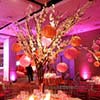 Exotic floral centerpieces with hanging paper lamps from unique NYC sweet 16